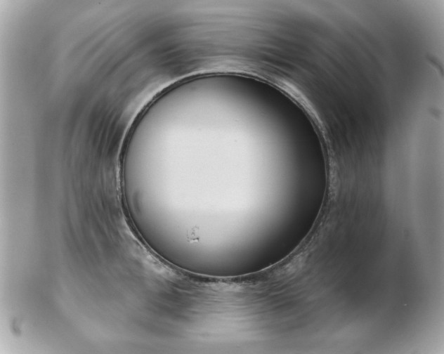 X0000103260996200808291214