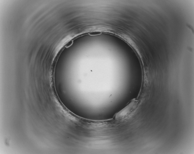 X0000103260997200808291214