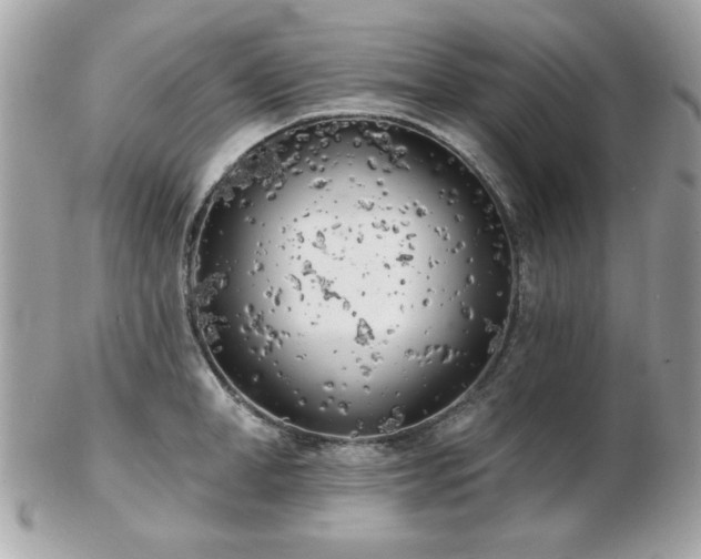 X0000103260998200808291214