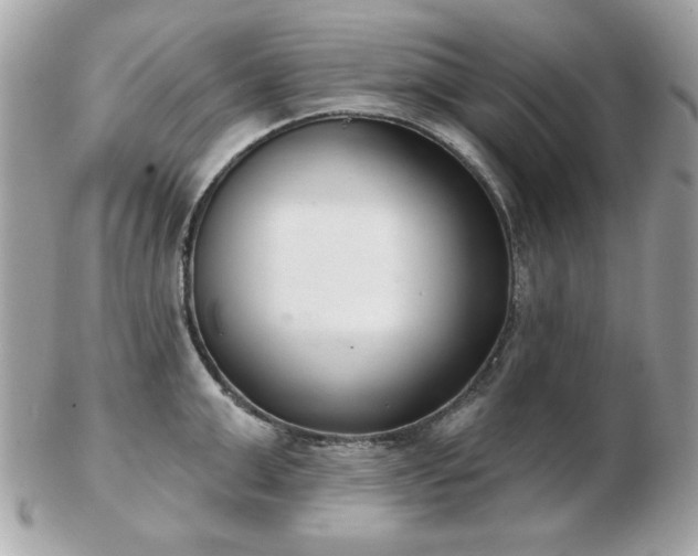 X0000103260999200808291214