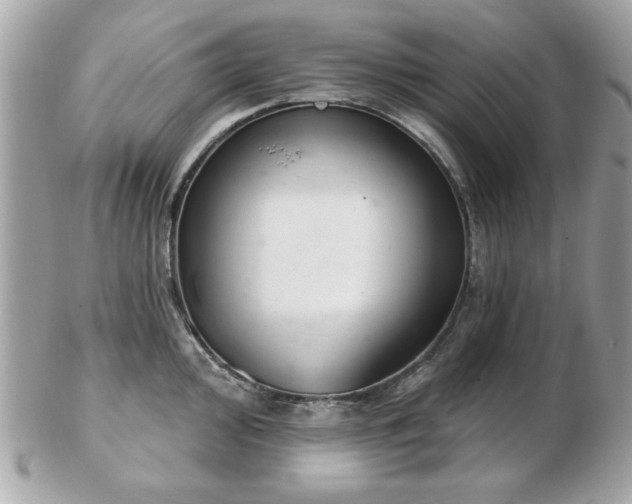 X0000103261000200808291214