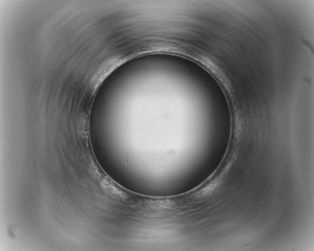 X0000103261001200808291214