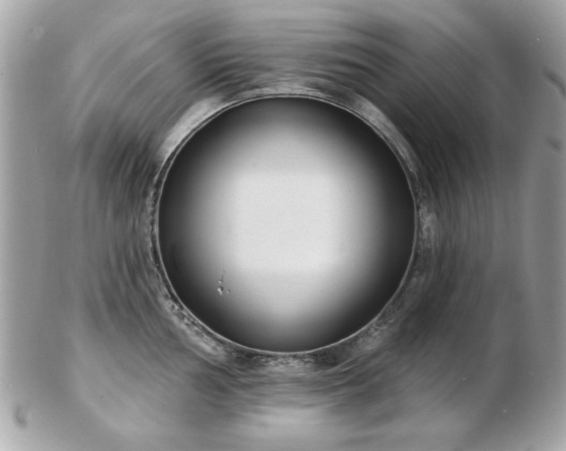 X0000103261002200808291214