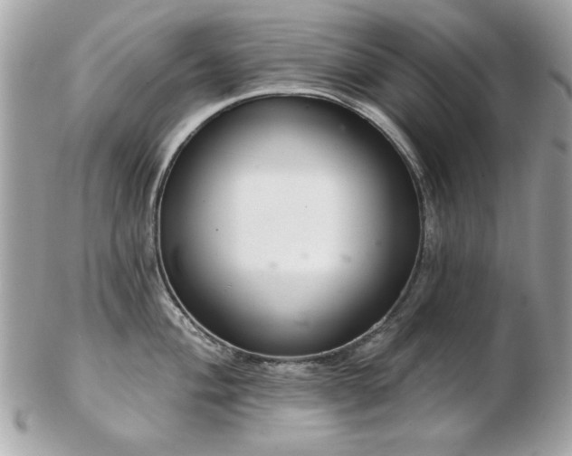 X0000103261004200808291214