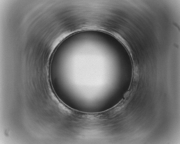 X0000103261005200808291214