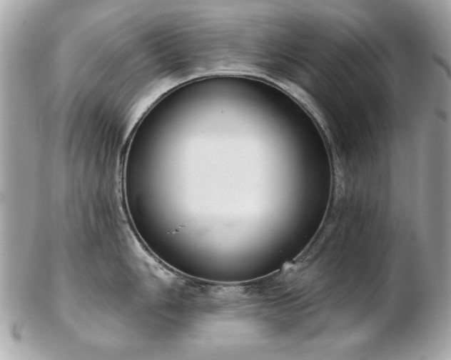 X0000103261006200808291214