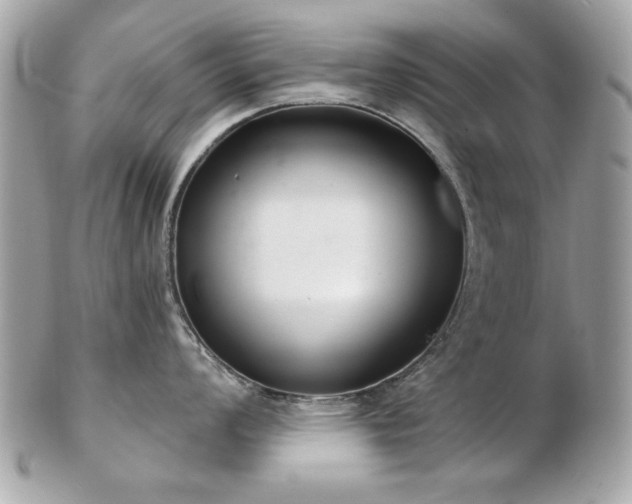 X0000103261008200808291214