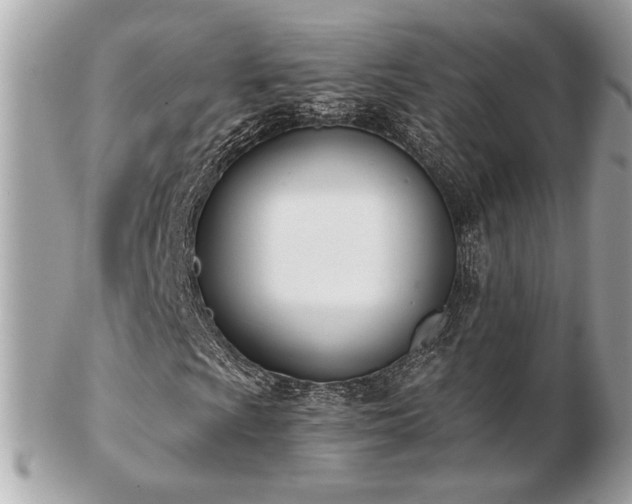 X0000103261009200808291213