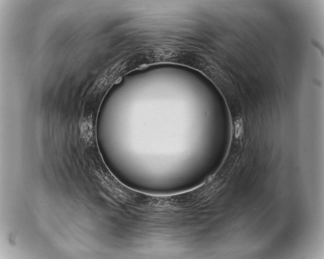 X0000103261011200808291213