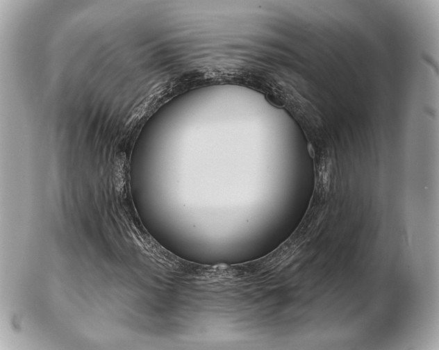 X0000103261012200808291213