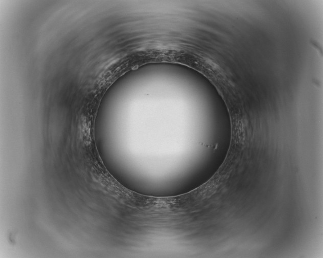 X0000103261013200808291213