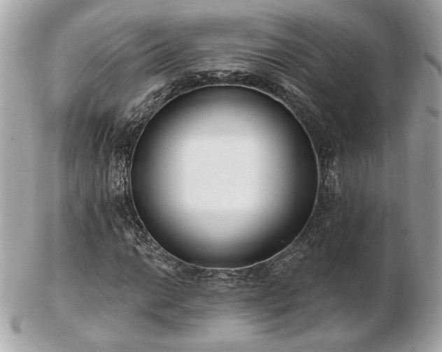 X0000103261014200808291213