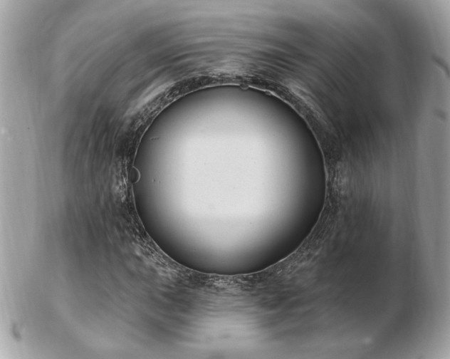 X0000103261015200808291213