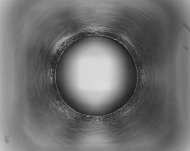 X0000103261016200808291213