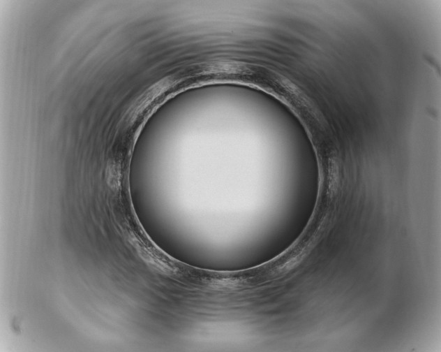 X0000103261017200808291213