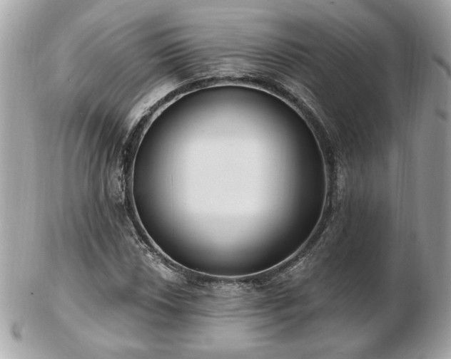 X0000103261018200808291213