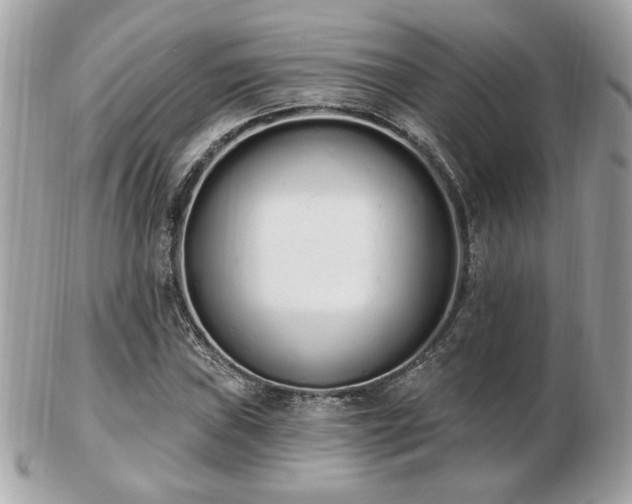 X0000103261019200808291213