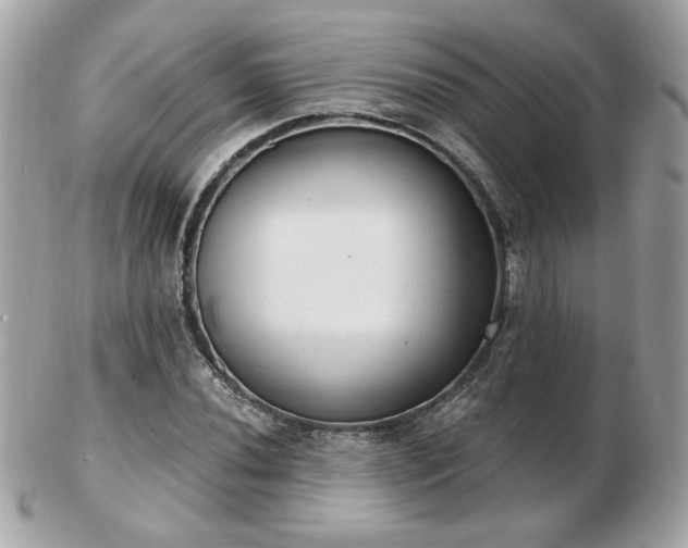 X0000103261020200808291213