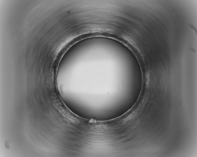 X0000103261021200808291213