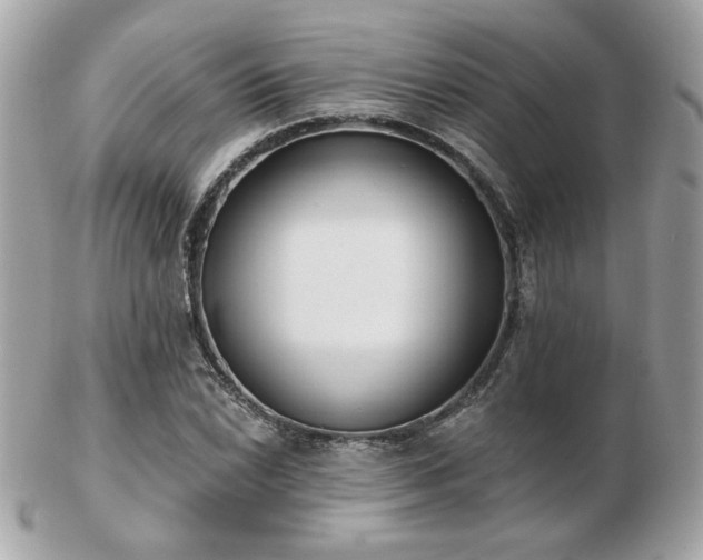 X0000103261022200808291213