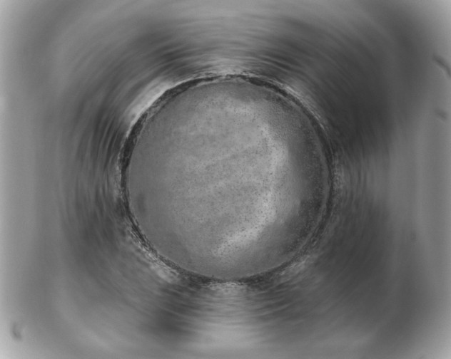 X0000103261023200808291213