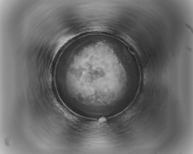 X0000103261024200808291213