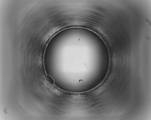 X0000103261025200808291213