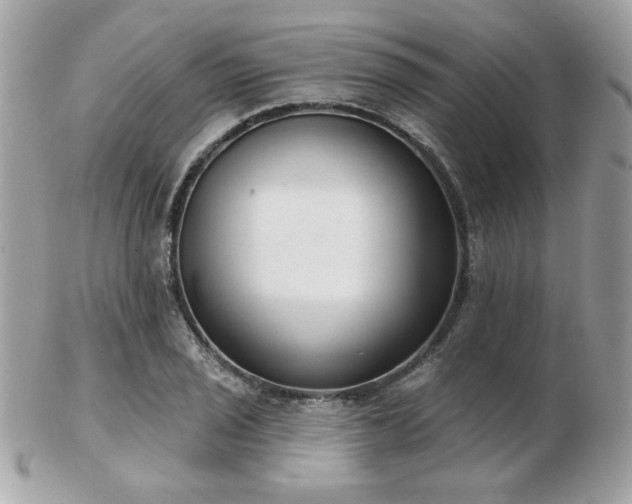 X0000103261029200808291213