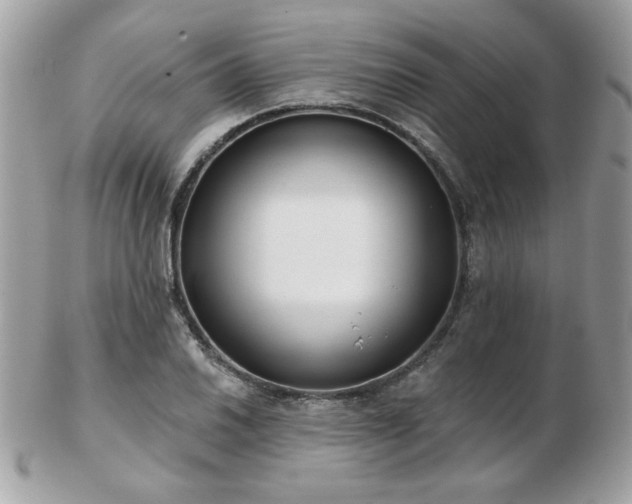 X0000103261030200808291213