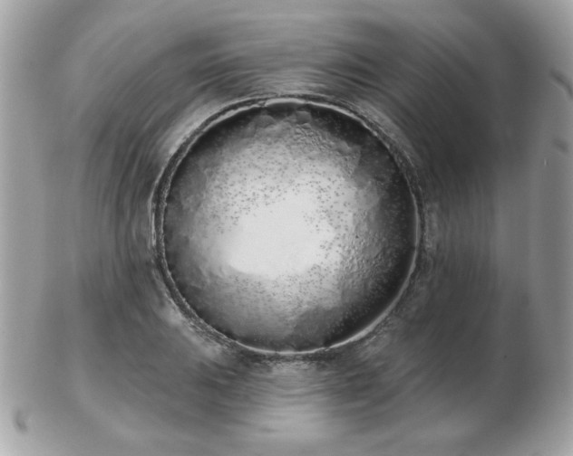 X0000103261031200808291213