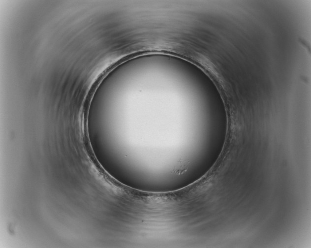 X0000103261032200808291213