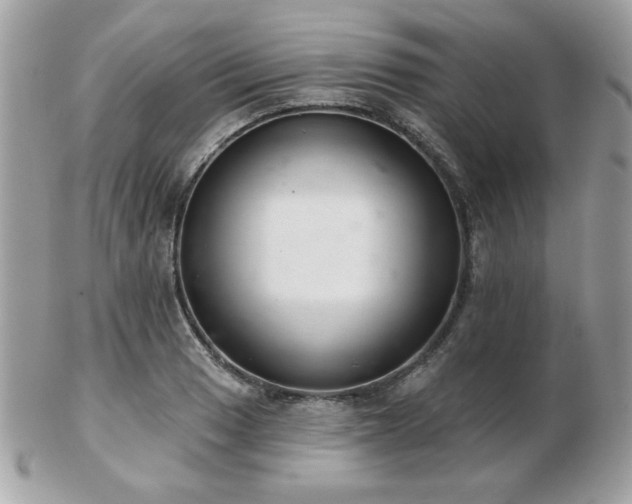 X0000103261033200808291213