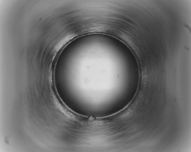 X0000103261034200808291213