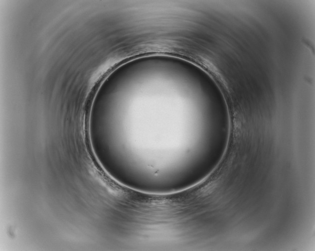 X0000103261035200808291213