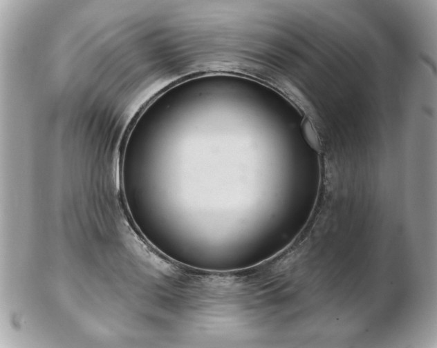 X0000103261036200808291213