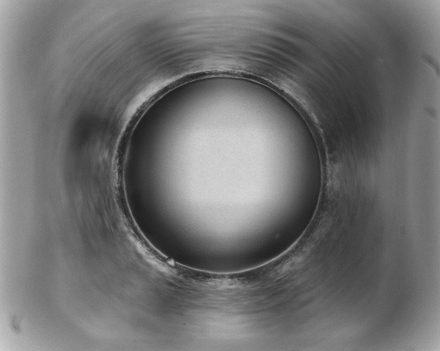 X0000103261037200808291213