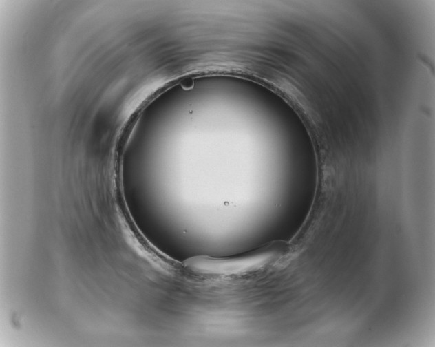 X0000103261038200808291213