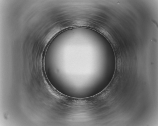 X0000103261039200808291213