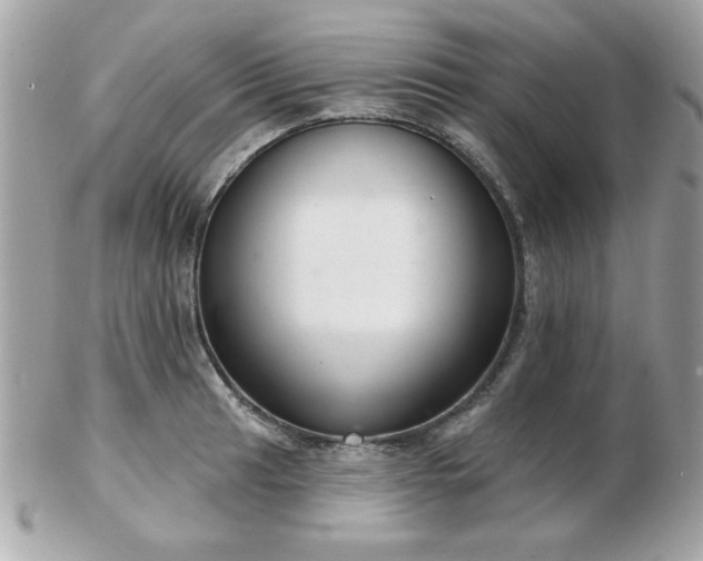 X0000103261041200808291213