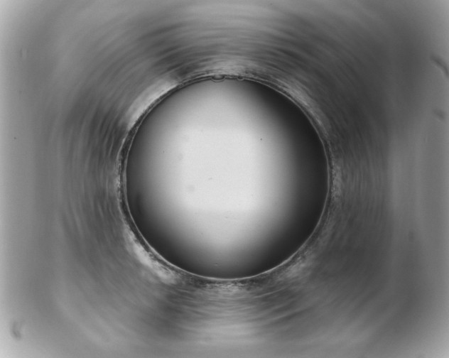 X0000103261042200808291213