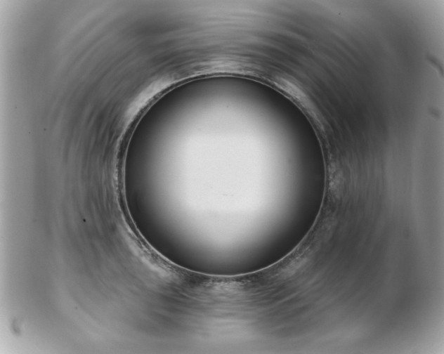 X0000103261043200808291213