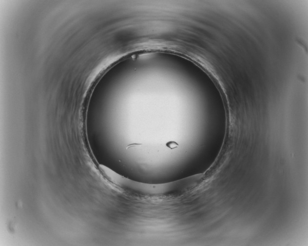 X0000103261045200808291213