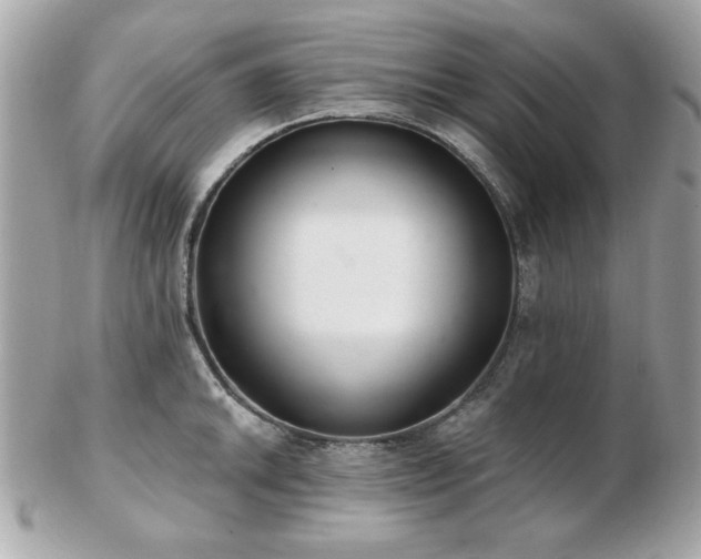 X0000103261046200808291213