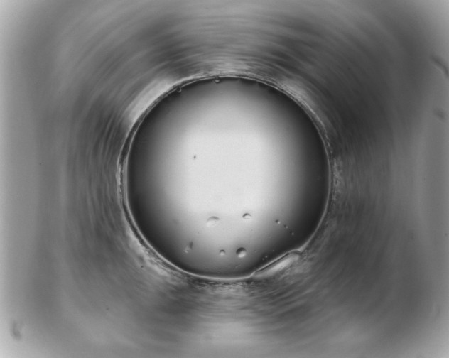 X0000103261047200808291213