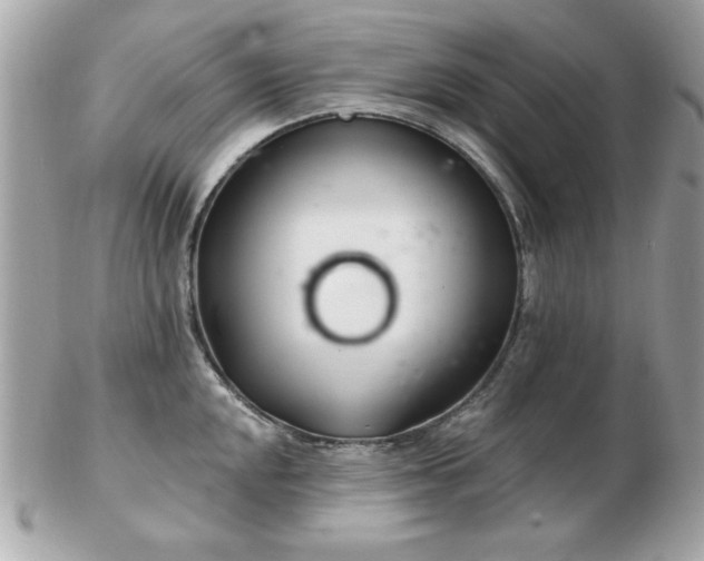 X0000103261048200808291213