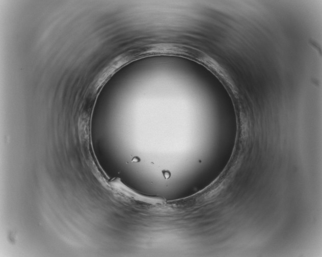 X0000103261049200808291213