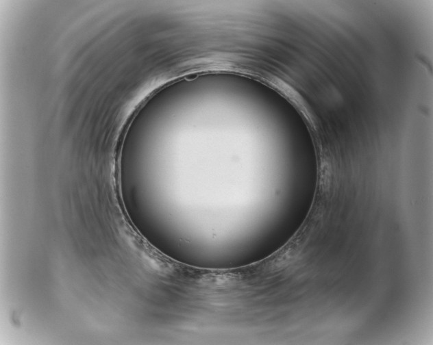 X0000103261051200808291213