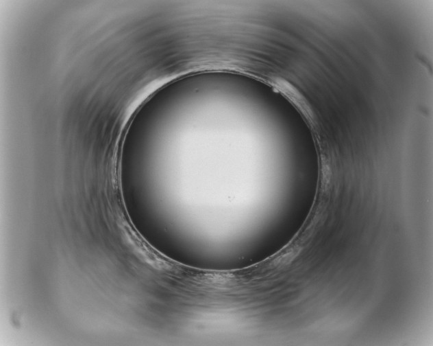 X0000103261052200808291213