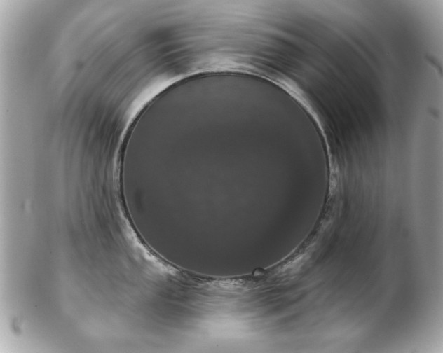 X0000103261053200808291213