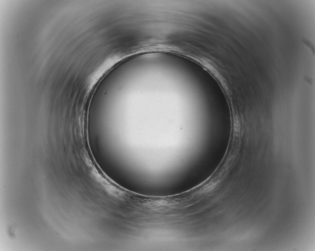 X0000103261054200808291213